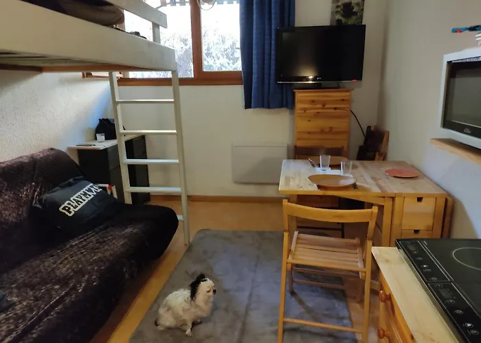 Petit 17 M2 Apartment Allos